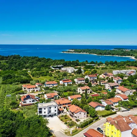 Oliva Mare *